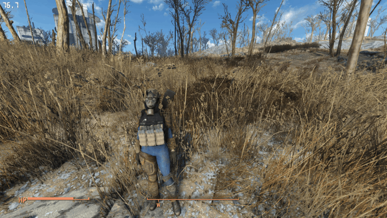 fallout 4 no grass mod